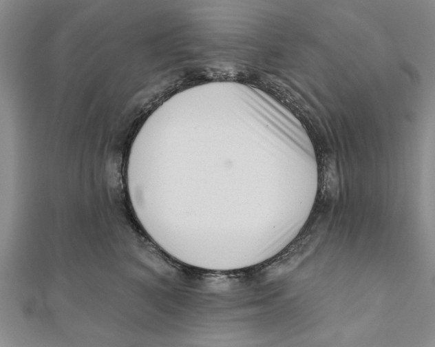 X0000111200616200907291231