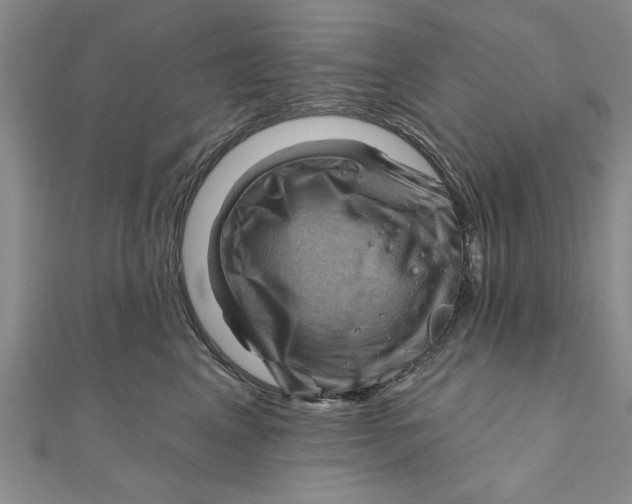 X0000111200617200907291231