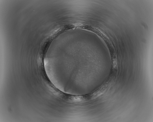 X0000111200618200907291231