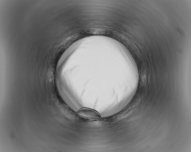 X0000111200620200907291231