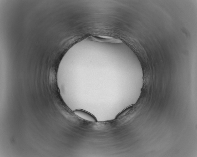 X0000111200623200907291231