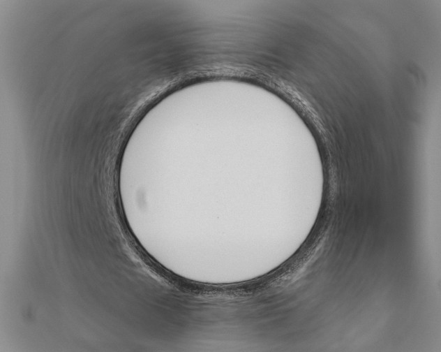 X0000111200625200907291230