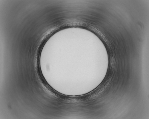 X0000111200629200907291230