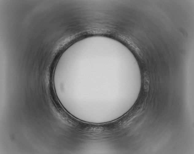 X0000111200631200907291230