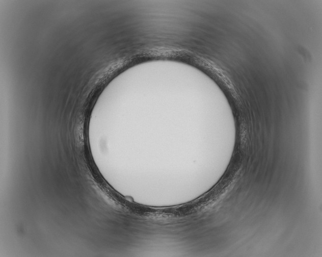 X0000111200633200907291230