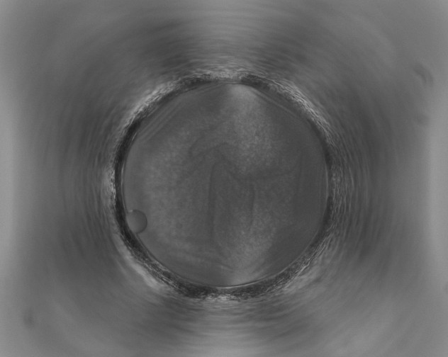 X0000111200634200907291230