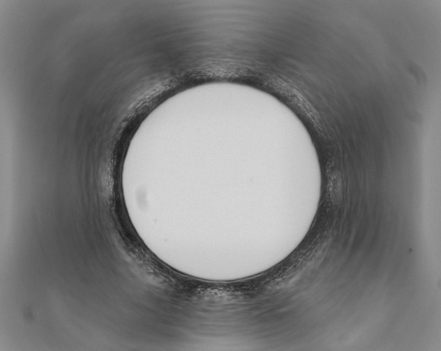 X0000111200635200907291230