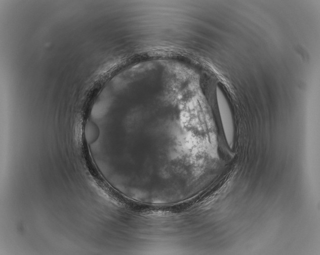 X0000111200637200907291230