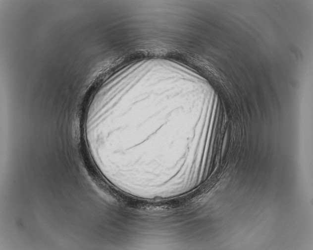 X0000111200638200907291230