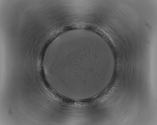 X0000111200641200907291231