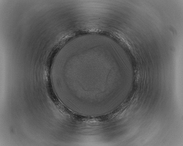 X0000111200643200907291231