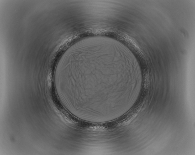 X0000111200644200907291231