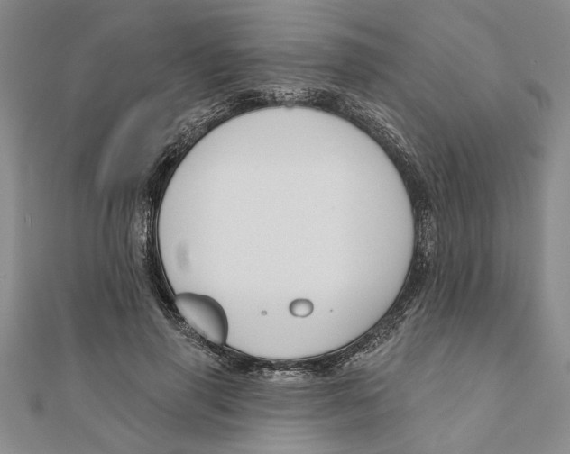 X0000111200645200907291231