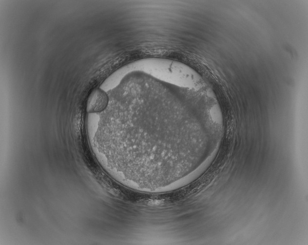 X0000111200647200907291231