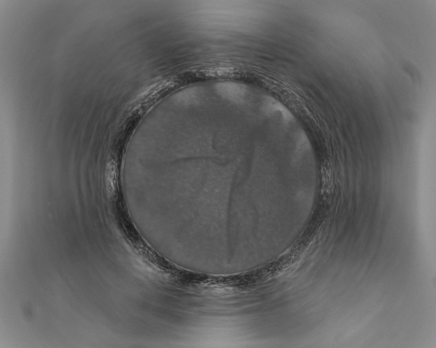 X0000111200648200907291231