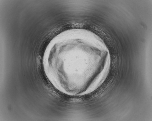 X0000111200649200907291231