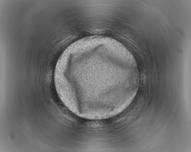 X0000111200652200907291231