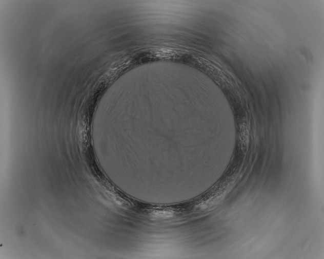 X0000111200653200907291231