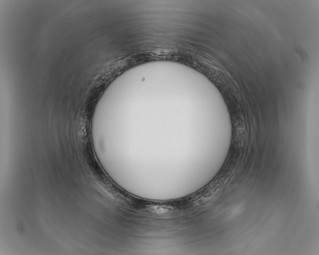 X0000111200654200907291231