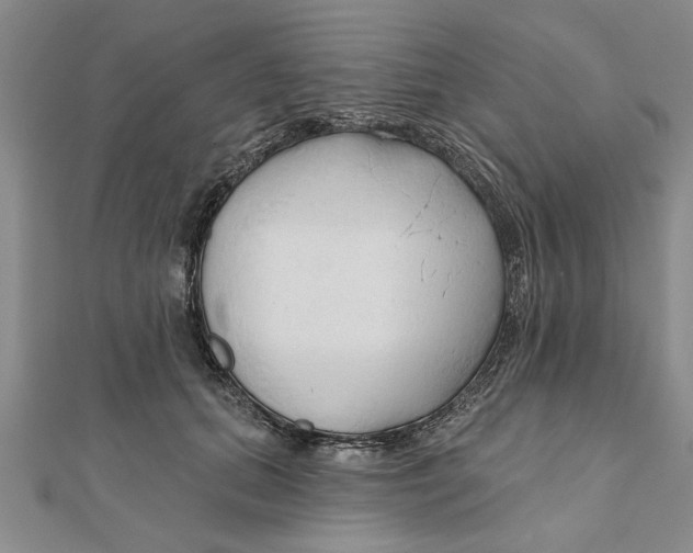 X0000111200655200907291231