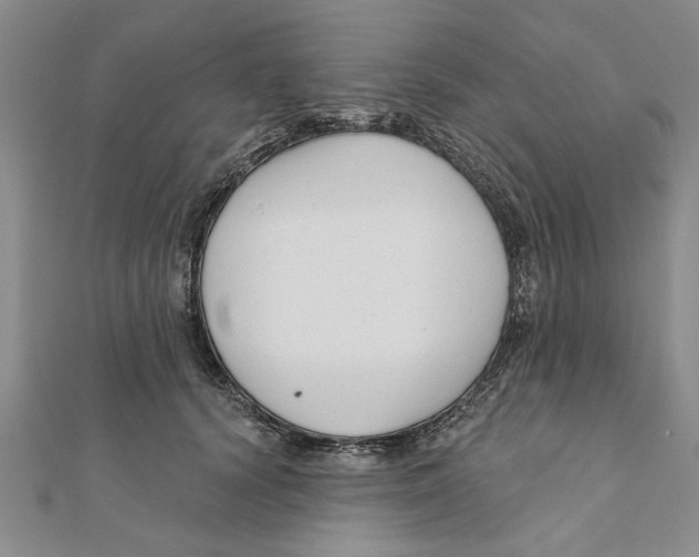 X0000111200656200907291231