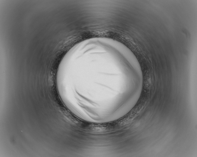 X0000111200658200907291231