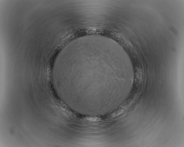 X0000111200659200907291231