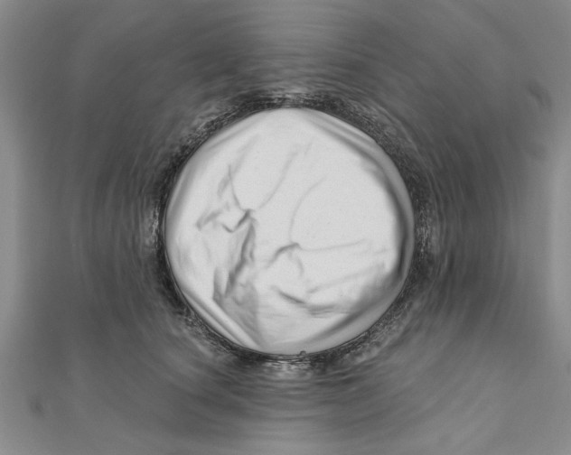 X0000111200660200907291231