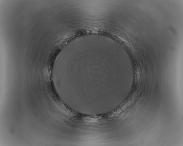 X0000111200661200907291231