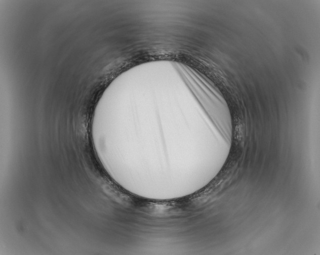 X0000111200662200907291231