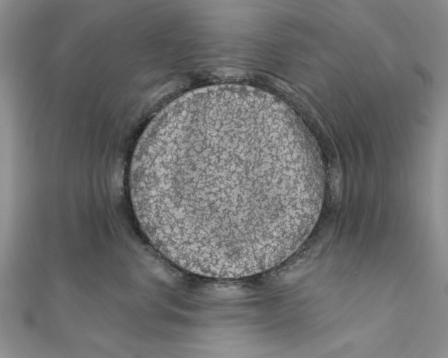 X0000111200668200907291231