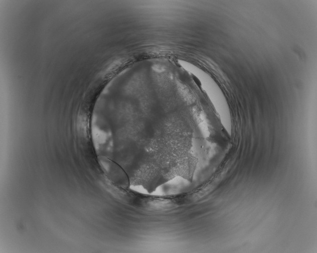 X0000111200669200907291231