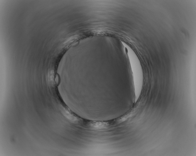 X0000111200670200907291231