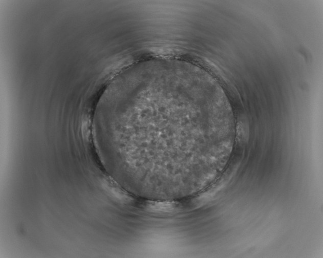 X0000111200671200907291231