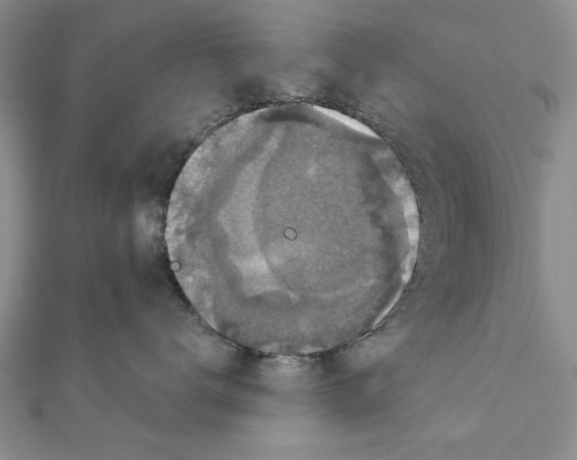 X0000111200672200907291231