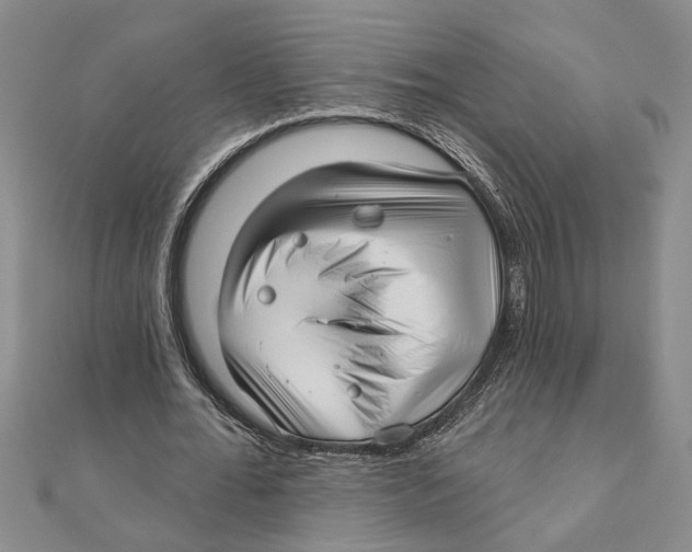 X0000111200676200907291230