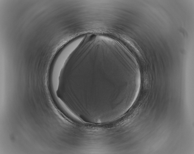 X0000111200677200907291230