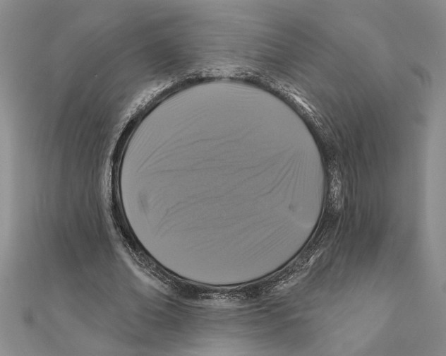 X0000111200678200907291230