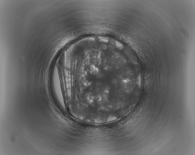 X0000111200679200907291230