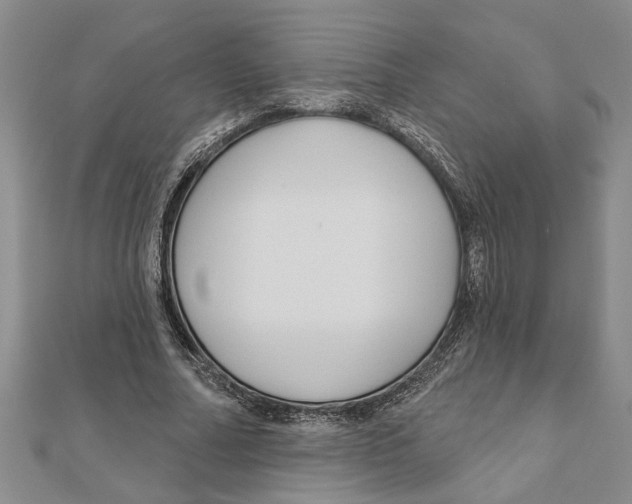 X0000111200682200907291230