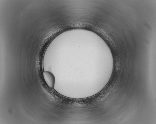 X0000111200683200907291230