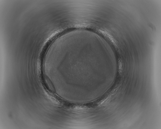 X0000111200684200907291230