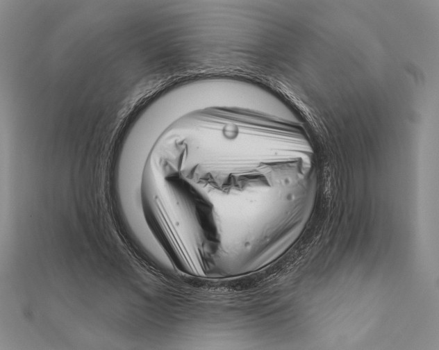 X0000111200685200907291230