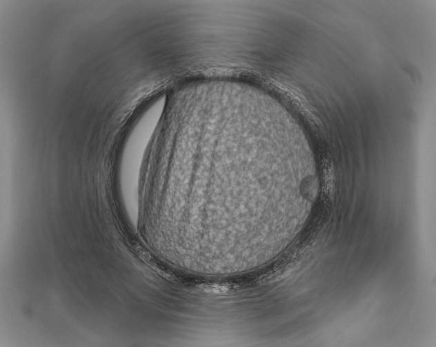 X0000111200687200907291230