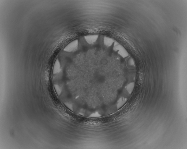 X0000111200691200907291230