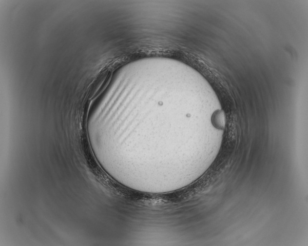 X0000111200695200907291230