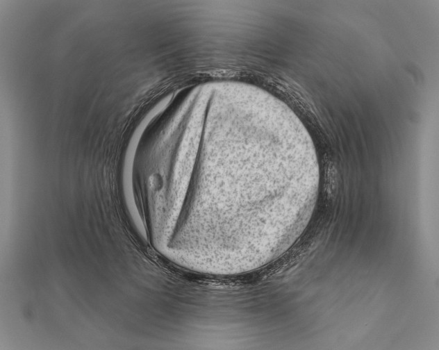 X0000111200697200907291230