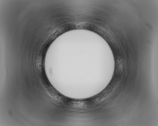 X0000111200698200907291230