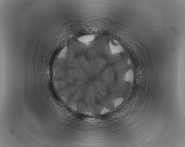 X0000111200699200907291230