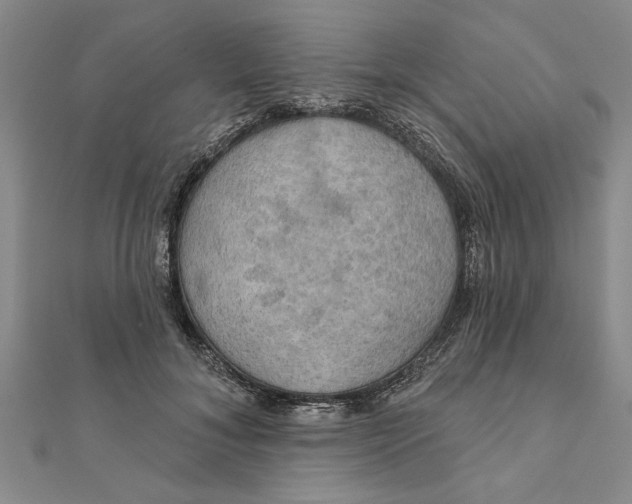 X0000111200700200907291230